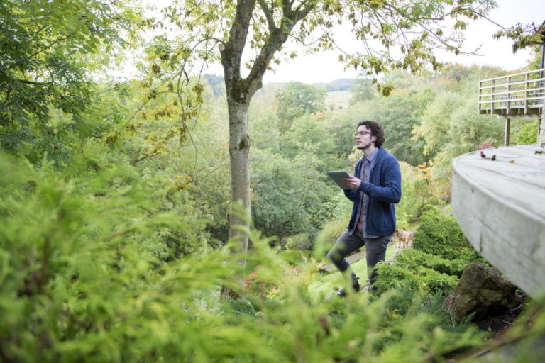 Arborist Reports: What They Are & Why You Need One