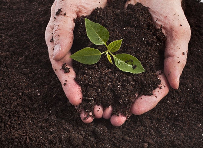 How to Monitor Soil Health