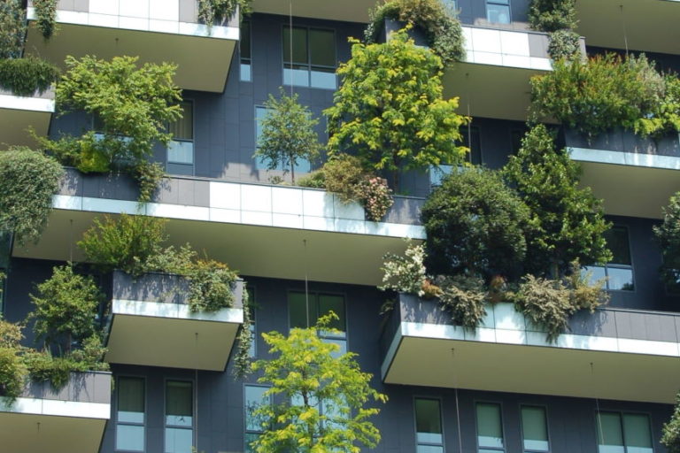The Best Plants For Your DIY Vertical Garden
