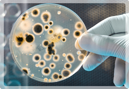 what-we-do-img-training