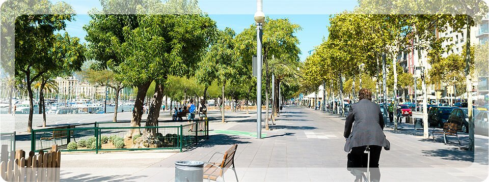 brisbane-arborist-img