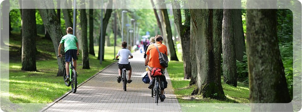 gold-coast-arborist-img