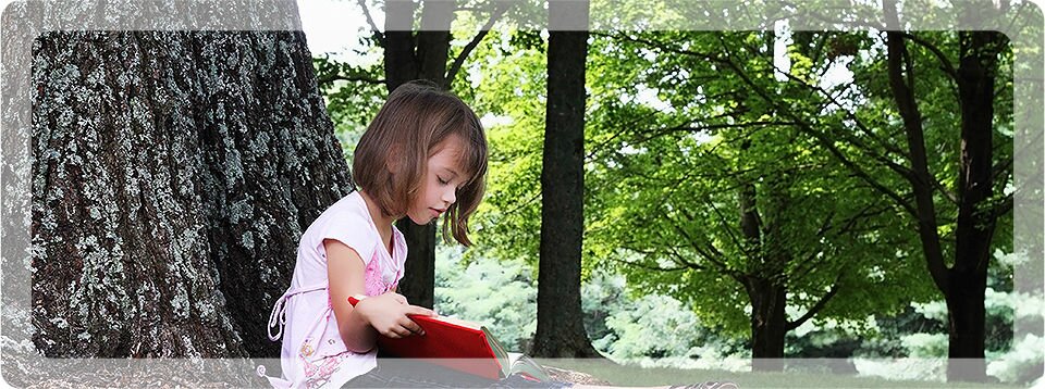 tweedshire-arborist-img