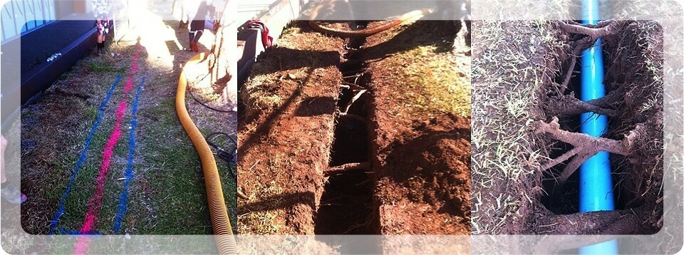 logan-water-alliance-for-logan-city-council-img