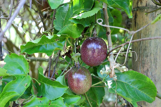 shutterstock_154678586