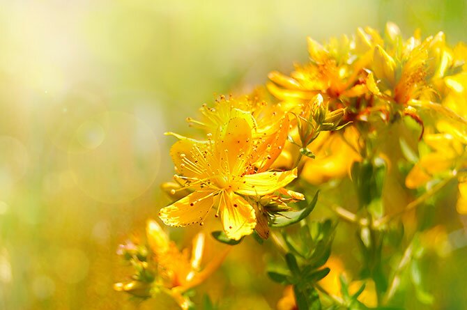 shutterstock_310467329