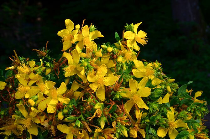 shutterstock_325355255