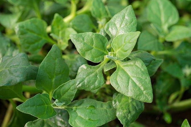 shutterstock_359835425