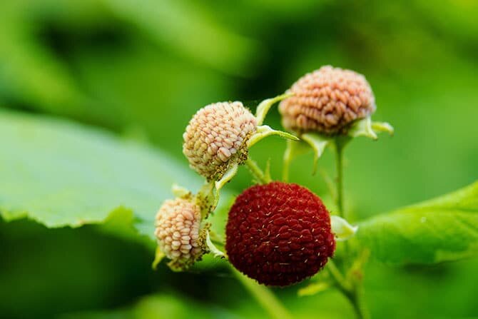 shutterstock_478841800