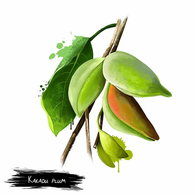 shutterstock_498106576