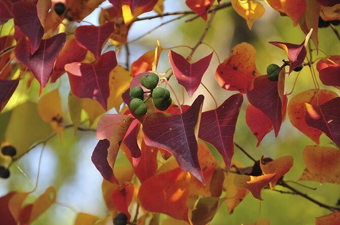 shutterstock_192532451