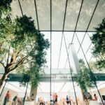 6 Tips for Tree Relocation During Property Development or Renovation