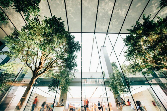 Relocated trees in an atrium