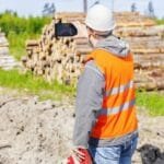 What Does a Consulting Arborist Do?